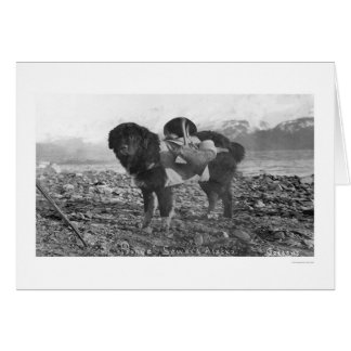 Backpacking Dog Seward, Alaska 1911 Cards