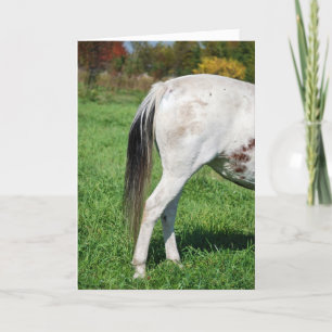 Backside of a Horse Goodbye Card
