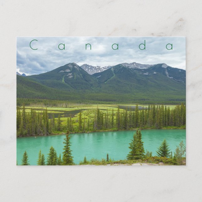 Backswamp at Banff Postcard (Front)