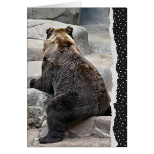Backward Birthday Bear Cards