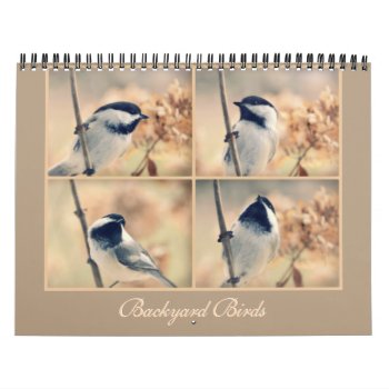 Backyard Bird Photography Calendar by Vanillaextinctions at Zazzle