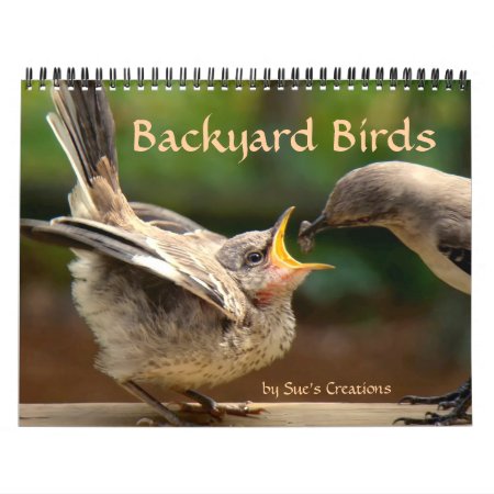 Backyard Birds Calendar