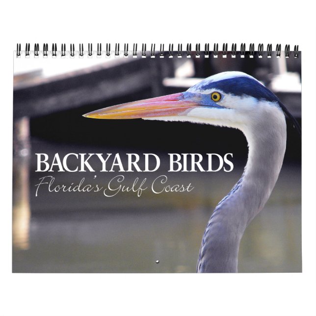 BACKYARD BIRDS CALENDAR (Cover)