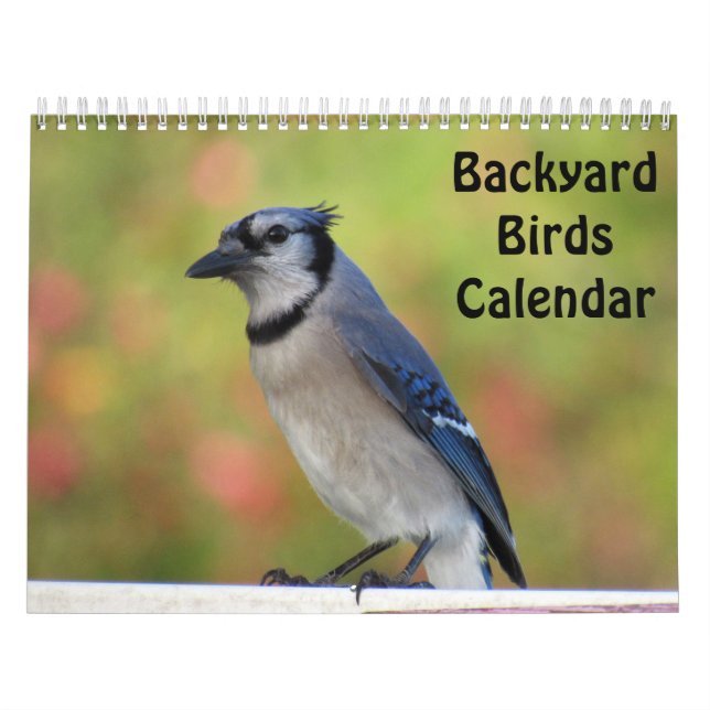 Backyard Birds Calendar (Cover)
