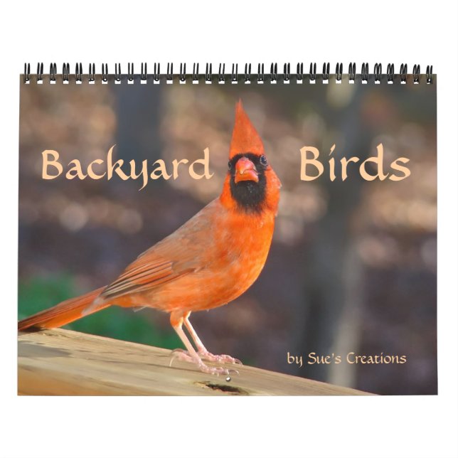 Backyard Birds Calendar (Cover)