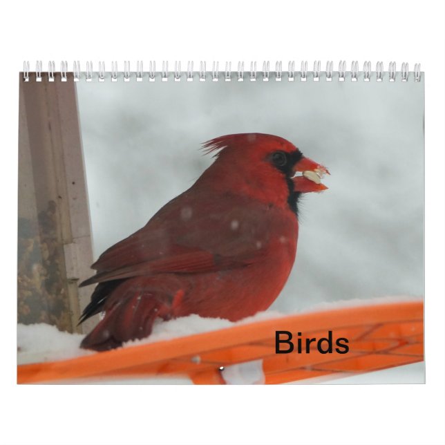 Backyard Birds Calendar (Cover)