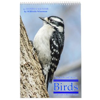 Backyard Birds Calendar 4th in Series