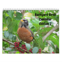 Backyard Birds Calendar - Edition 2