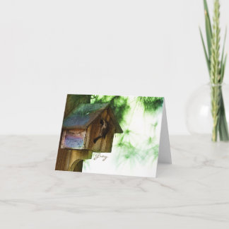 Backyard Birds Notecards