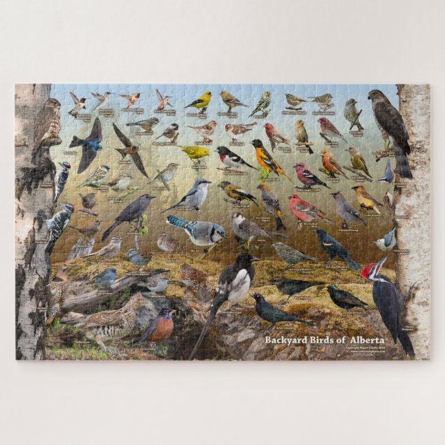 Backyard Birds of Alberta Jigsaw Puzzle (Horizontal)