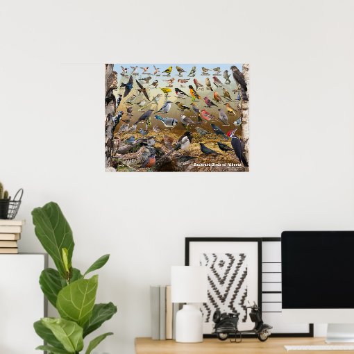 Backyard Birds of Alberta Poster Zazzle
