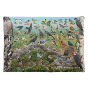 Backyard Birds of Connecticut Cloth Placemat