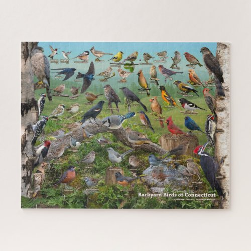 Backyard Birds of Connecticut Jigsaw Puzzle