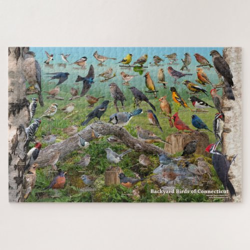 Backyard Birds of Connecticut Jigsaw Puzzle