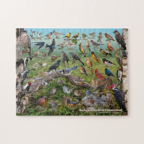 Backyard Birds of Connecticut Jigsaw Puzzle