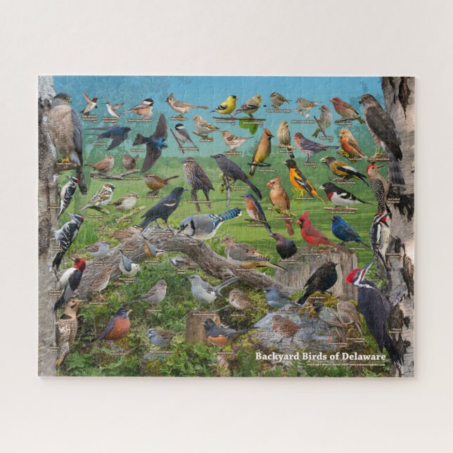Backyard Birds of Delaware Jigsaw Puzzle (Horizontal)