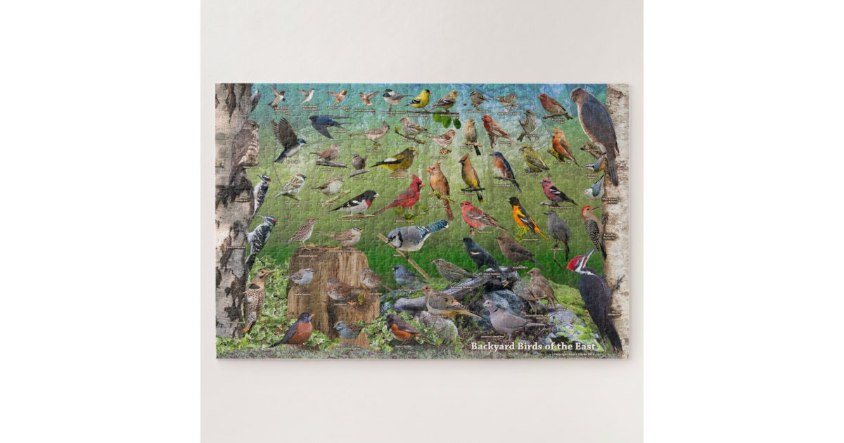 Backyard Birds of Eastern North America Puzzle | Zazzle