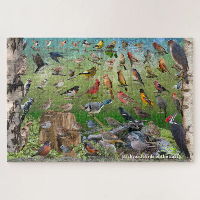Backyard Birds of Eastern North America Puzzle | Zazzle