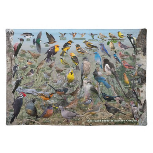 Backyard Birds of Eastern Oregon Cloth Placemat