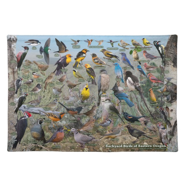 Backyard Birds of Eastern Oregon Cloth Placemat (Front)