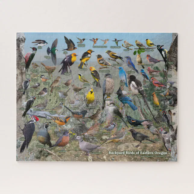 Backyard Birds of Eastern Oregon Jigsaw Puzzle | Zazzle