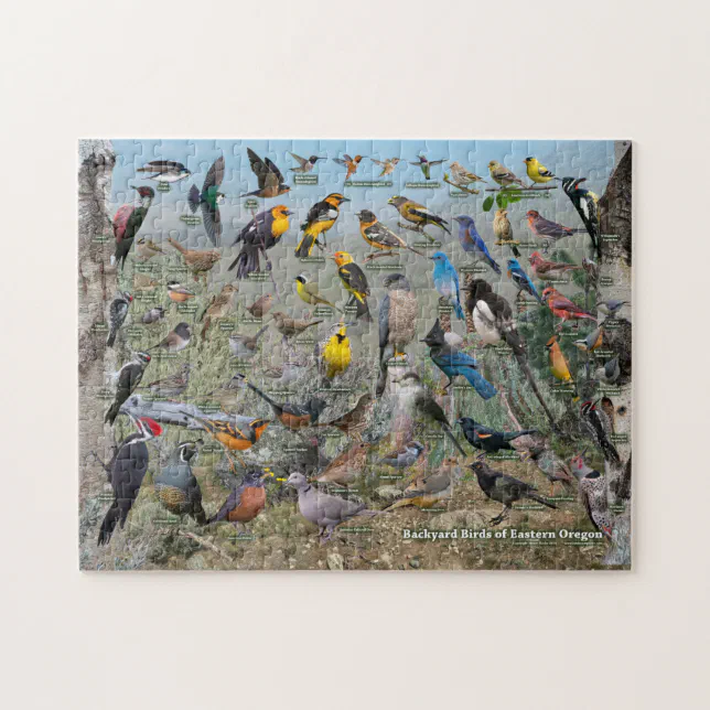 Backyard Birds of Eastern Oregon Jigsaw Puzzle | Zazzle