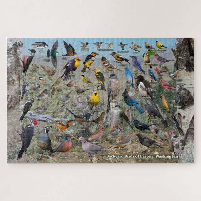 Backyard Birds of Eastern Washington Jigsaw Puzzle (Horizontal)