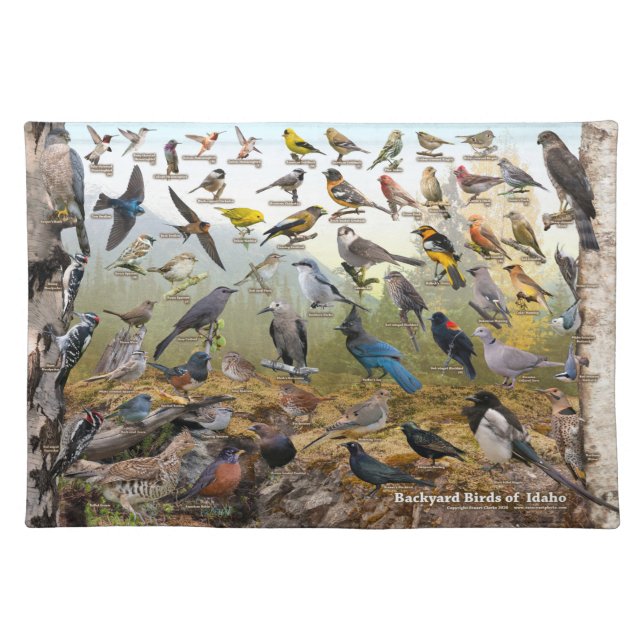 Backyard Birds of Idaho Cloth Placemat (Front)