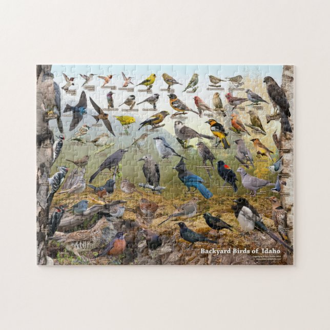 Backyard Birds of Idaho Jigsaw Puzzle (Horizontal)