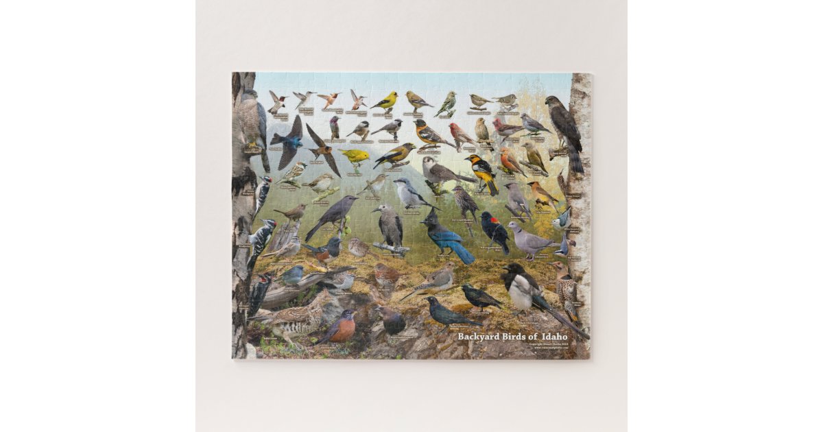 Backyard Birds of Idaho Jigsaw Puzzle | Zazzle