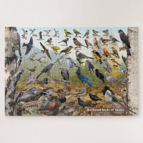 Backyard Birds of Idaho Jigsaw Puzzle