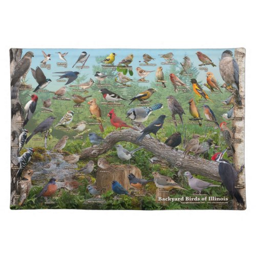 Backyard Birds of Illinois Cloth Placemat