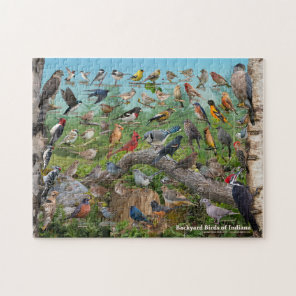 Backyard Birds of Indiana Puzzle