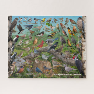 Backyard Birds of Indiana Puzzle