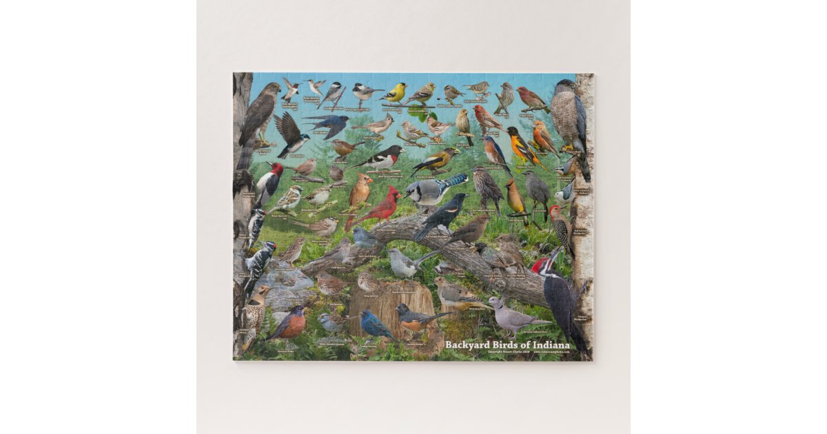 Backyard Birds of Indiana Puzzle | Zazzle