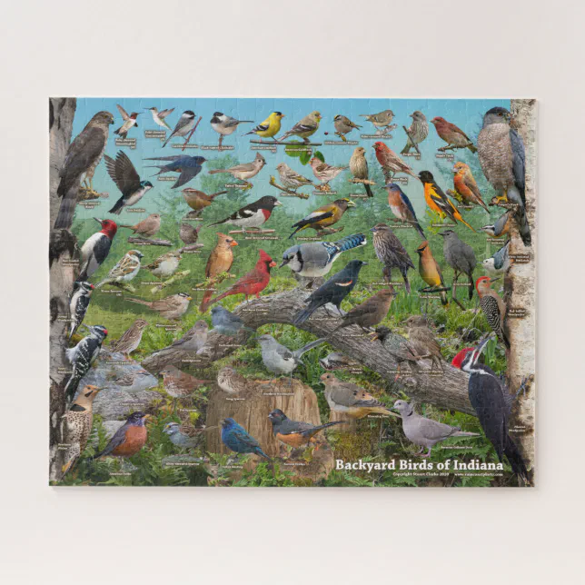 Backyard Birds of Indiana Puzzle | Zazzle