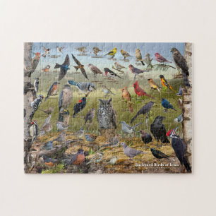 Backyard Birds of Iowa Jigsaw Puzzle
