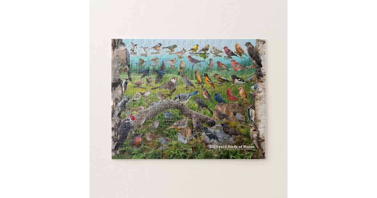 Backyard Birds of Maine Jigsaw Puzzle Zazzle