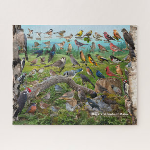 Backyard Birds of Maine Jigsaw Puzzle