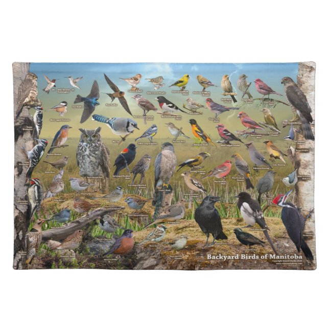 Backyard Birds of Manitoba Cloth Placemat (Front)