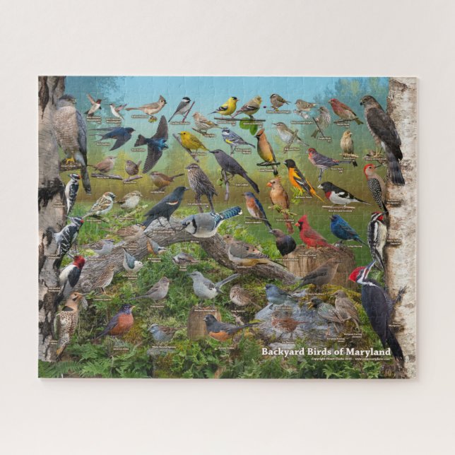 Backyard Birds of Maryland Jigsaw Puzzle (Horizontal)
