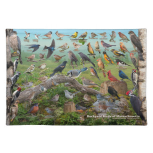 Backyard Birds of Massachusetts Cloth Placemat