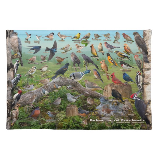 Backyard Birds of Massachusetts Cloth Placemat (Front)