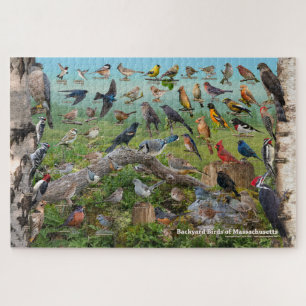 Backyard Birds of Massachusetts Jigsaw Puzzle