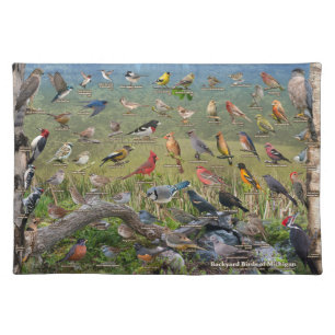 Backyard Birds of Michigan Cloth Placemat