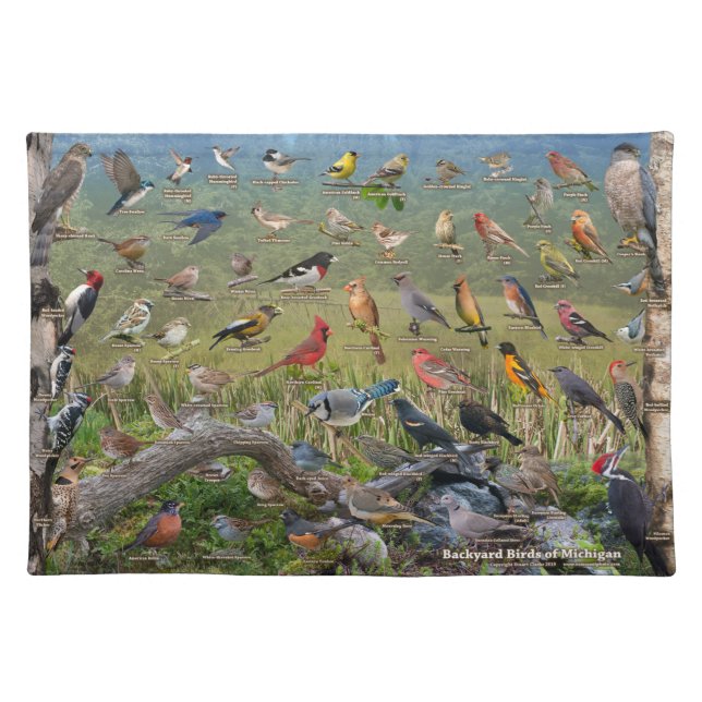 Backyard Birds of Michigan Cloth Placemat (Front)