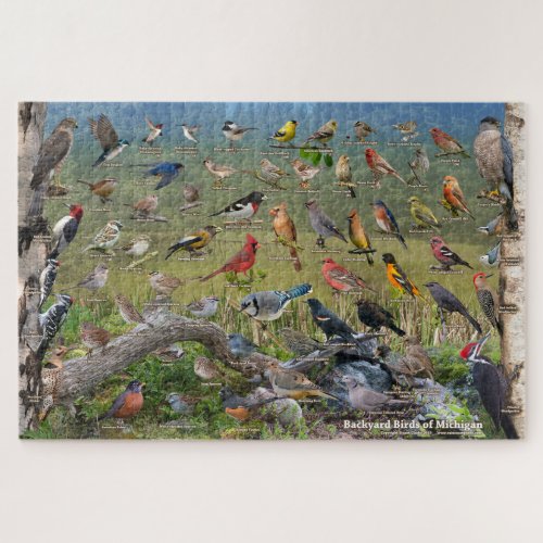 Backyard Birds of Michigan Jigsaw Puzzle