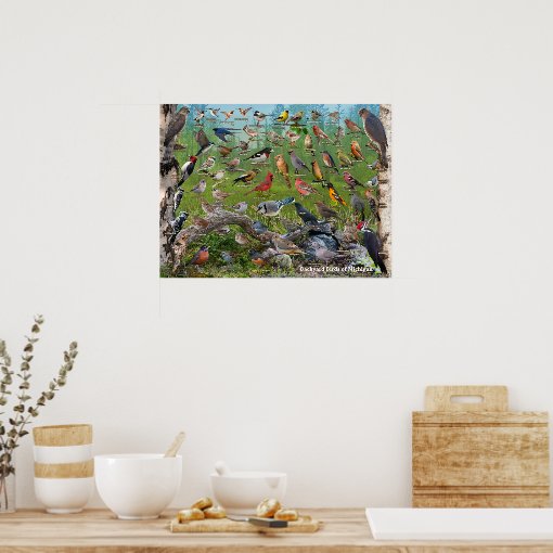 Backyard Birds of Michigan Poster Zazzle