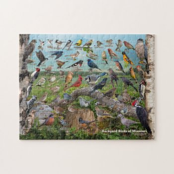 Backyard Birds Of Missouri Jigsaw Puzzle by raincoastphoto at Zazzle