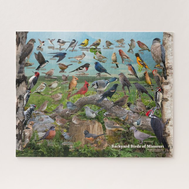 Backyard Birds of Missouri Jigsaw Puzzle (Horizontal)